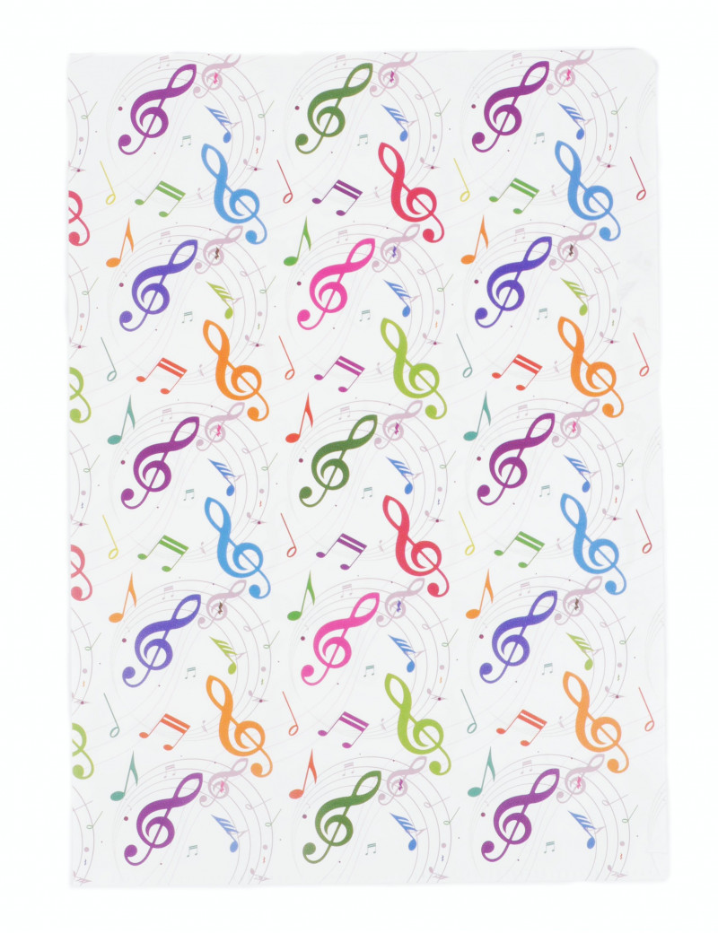 FASCIKL L VIOLINSKI KLJUČ ŠARENI